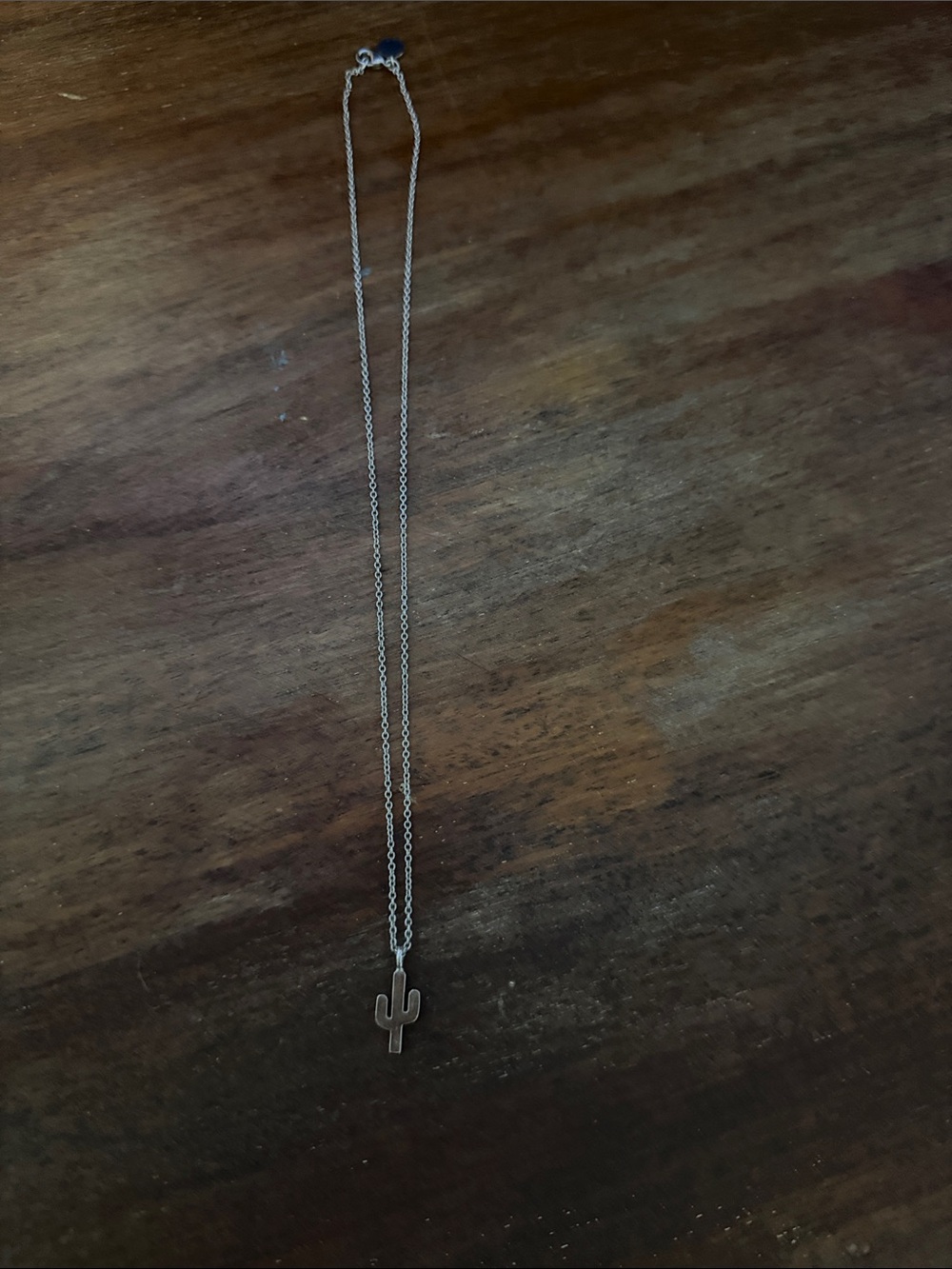 Bryan Anthonys Cactus Pendant Necklace in Silver Tone